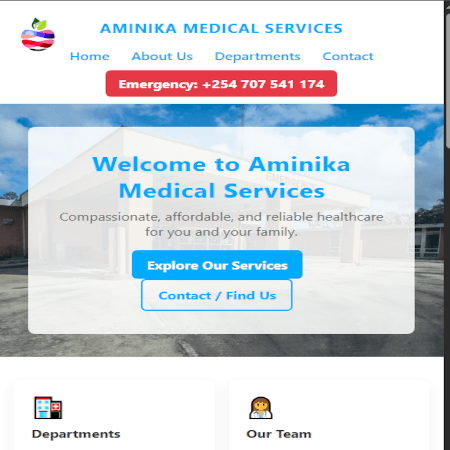 Aminika Medical Services project preview